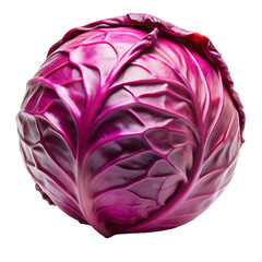 Obraz premium Red Cabbage Png – Isolated On Transparent Background