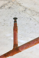 Old ceiling water springer fire extinguisher on the old building.