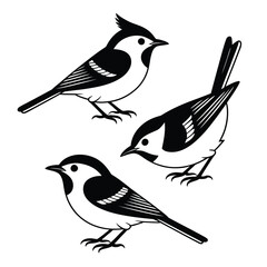 Obraz premium Three black and white stylized birds on white background