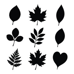 Tropical leaves silhouette collection for graphic design, nature, and summer concepts. tropical leaf Vector illustration