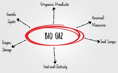 Biogas Production Diagram Highlighting Sources and Outputs in Renewable Energy