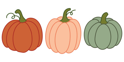 Three pumpkins in warm autumn colors isolated on white. Simple vegetable illustration in rustic seasonal style