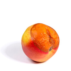 Faulender Apfel vor weißem Hintergrund