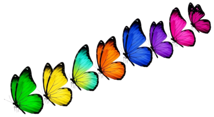 Diagonal line of colourful rainbow butterflies
