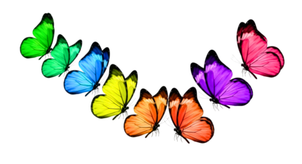 Curved row of rainbow gradient butterflies flying
