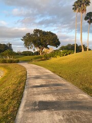 Obraz premium road in the park