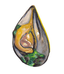 Mussel handpainted illustration Seafood clipart PNG file with transparent background Perfect for use in menus, cookbooks, restaurant branding, posters, and food-related design