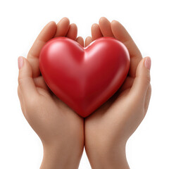 Gentle hands holding a vibrant red heart isolated on transparent background