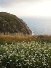 A breathtaking view from a coastal cliff covered in wildflowers and tall grass, overlooking the vast Atlantic Ocean at sunset. Clifftop serenity over the ocean, Madeira Island, Portugal