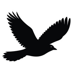 Silhouette of a Bird in Flight: Elegant, Black, Vector Graphic Illustration