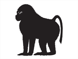 Baboon in silhouette on white background
