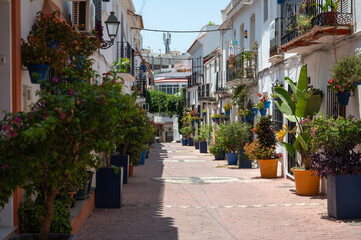 Fototapeta premium Charming narrow street adorned with vibrant flowers and plants in colorful pots, enhancing the traditional white facades of Estepona, Spain