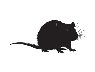 Rat in silhouette