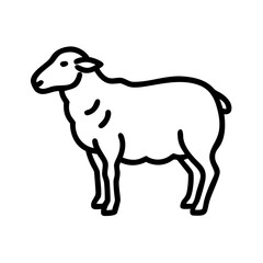vector illustration of a sheep