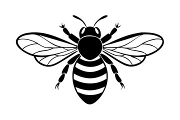 Fototapeta premium bee vector illustration