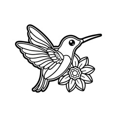 Obraz premium Hummingbird hovering over flowers for kids coloring book Vector illustration