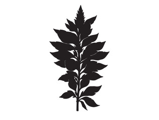  Henna plant Silhouette Vector Image