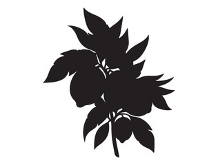 Lemon plant Silhouette Vector Image
