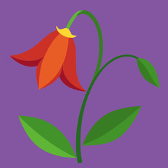 Spring Bellflower with green leaves. Red hot chili peppers. Red flower.