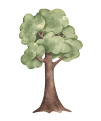 Woodland friends. Watercolor hand-drawn illustration with large tree. For design baby partyes, baby shower, birthday, and nursery.