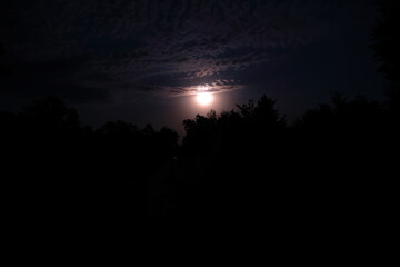 Fototapeta premium Moon at night sky and clouds