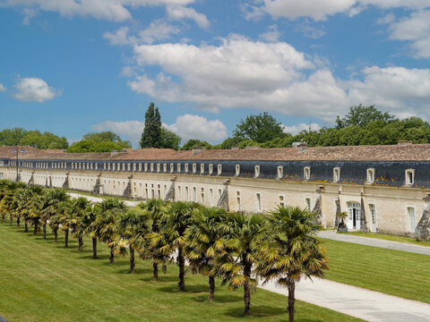 Rochefort in Charente-Maritime. Exoticism of the palm trees that line the Corderie Royale building up to the tulip tree ramp, the link between the city and the naval arsenal.
