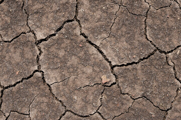 Wall texture soil dry crack pattern of drought lack of water of nature brown old broken background.