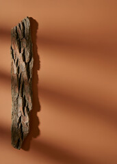 Tree bark fragment standing upright with strong shadow, ideal for earthy branding or eco design templates.