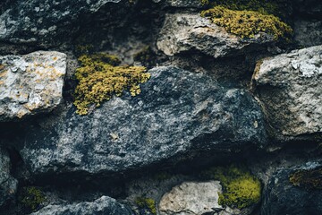 Close-up macro photograph of a rock formation showing intricate textures and vivid colors.