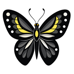 Butterfly silhouette vector 