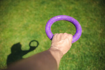 Hand holding a purple ring toy casting shadow on green grass in sunny outdoor setting