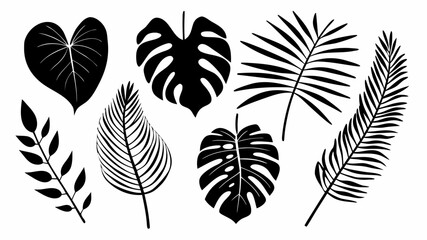 Set of black silhouettes of different tropical leaves, minster, eucalyptus, palm leaves. Vector illustrations isolated on transparent background, Black and white monstered tropical leaf pattern.