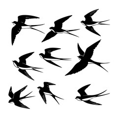 Flying Swallow Bird Silhouettes – Vector Clipart Set for Tattoos, Logos & Designs.