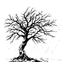 Obraz premium Rainswept Winter Tree: A stark, monochrome line art illustration depicts a lone, leafless tree bending under a rain shower, its gnarled branches reaching towards the sky.