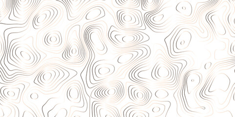 Abstract wave paper curved reliefs background .gradient multicolor wave curve lines banner background design, topographic contours map background, Vector geographic contour map.