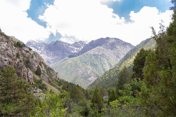 Scenic view of lush green mountains under a cloudy summer sky in Sairam-Ugam National Park, Kazakhstan. Peaceful wilderness and natural beauty.