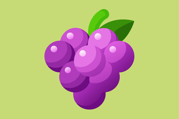 vector illustration of a grape