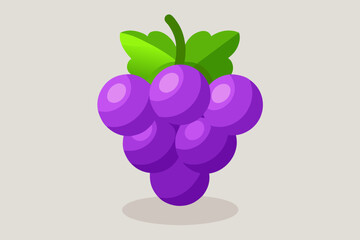 vector illustration of grapes