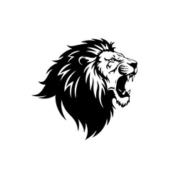 Roaring lion head illustrated in black and white shows animal portrait. Roaring lion head illustration includes detailed mane and powerful expression, capturing king of beasts.
