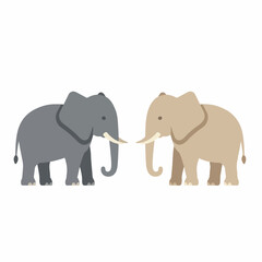 Fototapeta premium Two elephants, a gray elephant and beige elephant, stand side by side on white background. Simple elephant animal graphic for design, elephant stands together peacefully, symbolizing friendship.