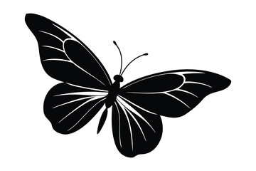 butterfly vector illustration