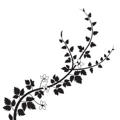 Naklejka premium Elegant black silhouette of a delicate flowering vine with leaves on white background