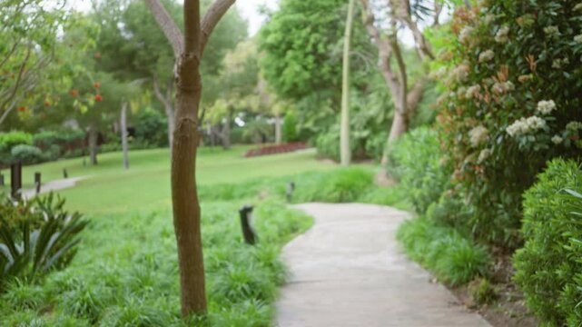 Blurred pathway surrounded by lush tropical greenery and trees in a luxury resort's outdoor garden creates a peaceful, defocused paradise setting.
