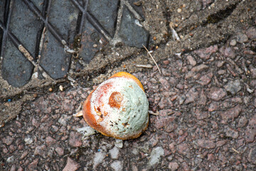 old mouldy lemon left outside