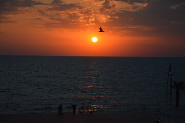 Sunset by the Sea with Silhouettes, Bicycle, and Flying Bird