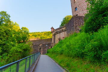 Pathway Leading to Historic Heidelberg Castle Surrounded by Lush Trees