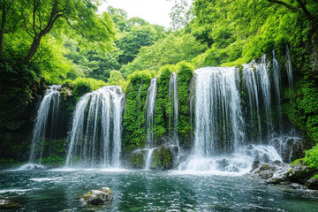 Obraz premium Lush green forest waterfall cascading into a serene pool with rocks and lush vegetation isolated on white background
