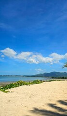 tropical beach in fiji