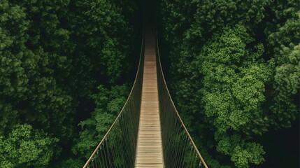 Fototapeta premium Aerial view of a straight wooden and metal suspension bridge stretching into a dense, green forest. Captured from above at an angle, the scene is peaceful and immersive.