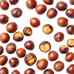 Chestnuts Pattern, isolated on white background